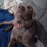 Susan drews - @drews7475 - Instagram