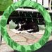 Susan Drews - Facebook
