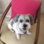 Susan Droege - @droegesusan - Instagram