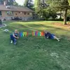 Susan Droege - @susan.droege - TikTok