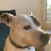 Susan Dubber - Facebook