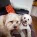 Susan Duffield - Facebook