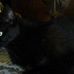 Susan Duhr - Facebook