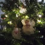 Susan Dulaney Maddox - @susanmaddox17 - Instagram