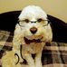 Susan Dull - Facebook