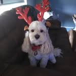 Susan Dull - @lorettad128 - Instagram