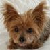 Susan Dull - Facebook
