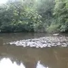 Susan Dunkel - @susan.dunkel - TikTok