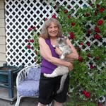 Susan Friesen Dyck - @susan.dyck - Instagram