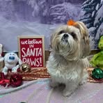 Susan Dyson - Facebook