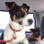 Susan Eade - @susaneade - Instagram