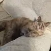 susaneades4 - @susaneades4 - TikTok