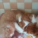 Susan Easter - @easter7543 - Instagram