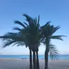 susana31 - @susaneben23 - TikTok