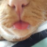 Susan Eberhart - @eberhartmontour - Instagram