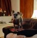 Susan Eden - Facebook