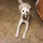 Sue Edens - @susanedens1962 - Instagram