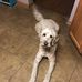Sue Edens - Facebook