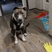 Suzy Edens - Facebook