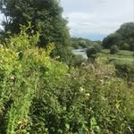 Susan Edge - @susan.edge.14 - Instagram