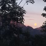 Susan Edge - @susankayedge3 - Instagram