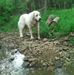 Susie Edge - Facebook
