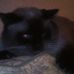 Susan Edman - Facebook