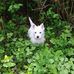 Susann Edman - Facebook
