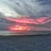 susanreedman - @susanreedman - TikTok