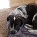 Susan Eggert - Facebook