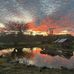 Susan Eggert Hawes - Facebook