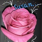 Susan Eggertsen - @susaneggertsen - Instagram