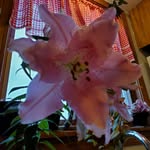 Susan Eick - @eick_susan1976 - Instagram