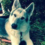 Susan Eick - @s_eick - Instagram