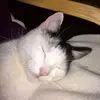 Susanne Eicke - @susanne.eicke - TikTok