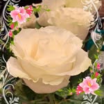 Susan Eiler - @sunny1030_2000 - Instagram