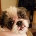 Susan Eilert - Facebook