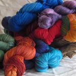 Susan Eiseman Levitin - @ariotofcolor63 - Instagram