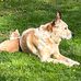 Susie Eldred - Facebook