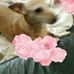 Susie Eldred - Facebook