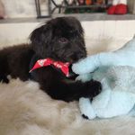 Susan Clark Eley - @eleysusan23 - Instagram