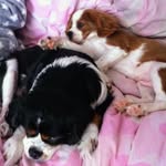 Susan Eley - @eley1400 - Instagram