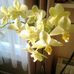 Susan Eley - Facebook