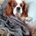 Susan Eley - Facebook