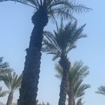 Susan Howard-Eley - @susanhowardeley - Instagram