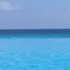 susaneleykelly - @sweemommy8 - TikTok