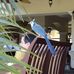 Susan Ellen - Facebook