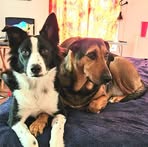 Susan Ellington - Facebook
