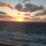Susan Ellman Gerber - @suelgerber - Instagram