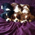 Susan Elson - @susanelson56 - Instagram